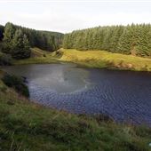 Black Linn Reservoir