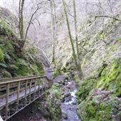 Dollar Glen