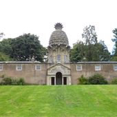 The Dunmore Pineapple