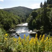 River Tummel