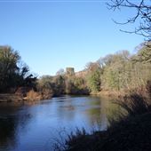 Bothwell Castle