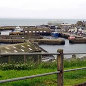 Macduff Harbour