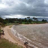 Hedderwick Bay