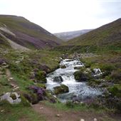 Inchnadamph Glen