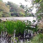 Balmae Lake - Kirkcudbright Training Area