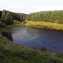 Black Linn Reservoir