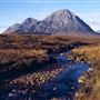 Buachaille Etive Mor