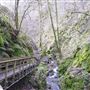 Dollar Glen