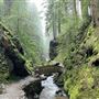 Puck's Glen
