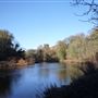 Bothwell Castle