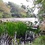 Balmae Lake - Kirkcudbright Training Area