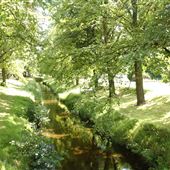Zetland Park