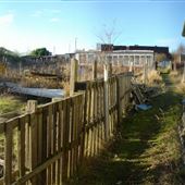 Petershill Allotments