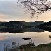St Mary's Loch and Loch of the Lowes