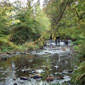 Rotten Calder Water