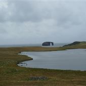 Dore Holm