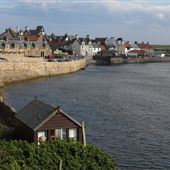 Elie