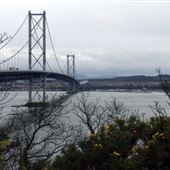 Forth Road Bridge