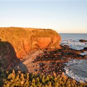 Arbroath Cliffs