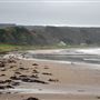 Croy Shore