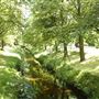 Zetland Park