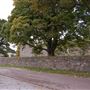 Old Inverlochy Castle