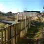 Petershill Allotments