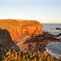 Arbroath Cliffs