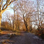 Dawsholm Park