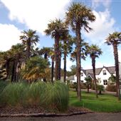 Logan Botanic Garden