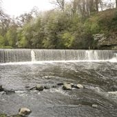 River Almond