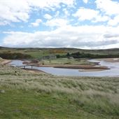 Melvich