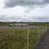 Darcy's Equine Assisted Learning Centre