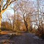 Dawsholm Park