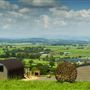 Whitelaird Farm