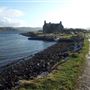 Ardmore House