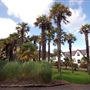 Logan Botanic Garden