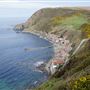 Crovie
