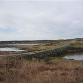 Danna Causeway