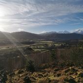 Auchlyne & Suie Estate
