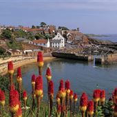 Crail