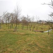 Craufurdland Cemetery