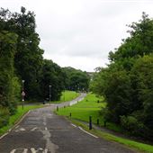 Woodroad Park