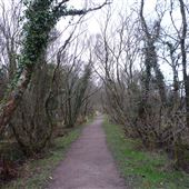 Taynish National Nature Reserve