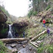 Falkland Estate and Maspie Den