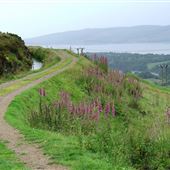 Greenock Cut