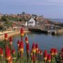 Crail