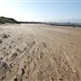 Longniddry Bents