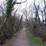 Taynish National Nature Reserve