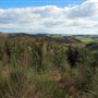 Doach Wood